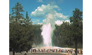 Kamery Yellowstone