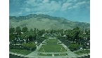 Kamery Palm Springs