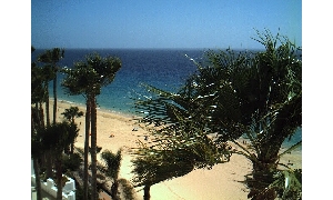 Kamera Fuerteventura